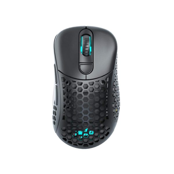 Black Mouse